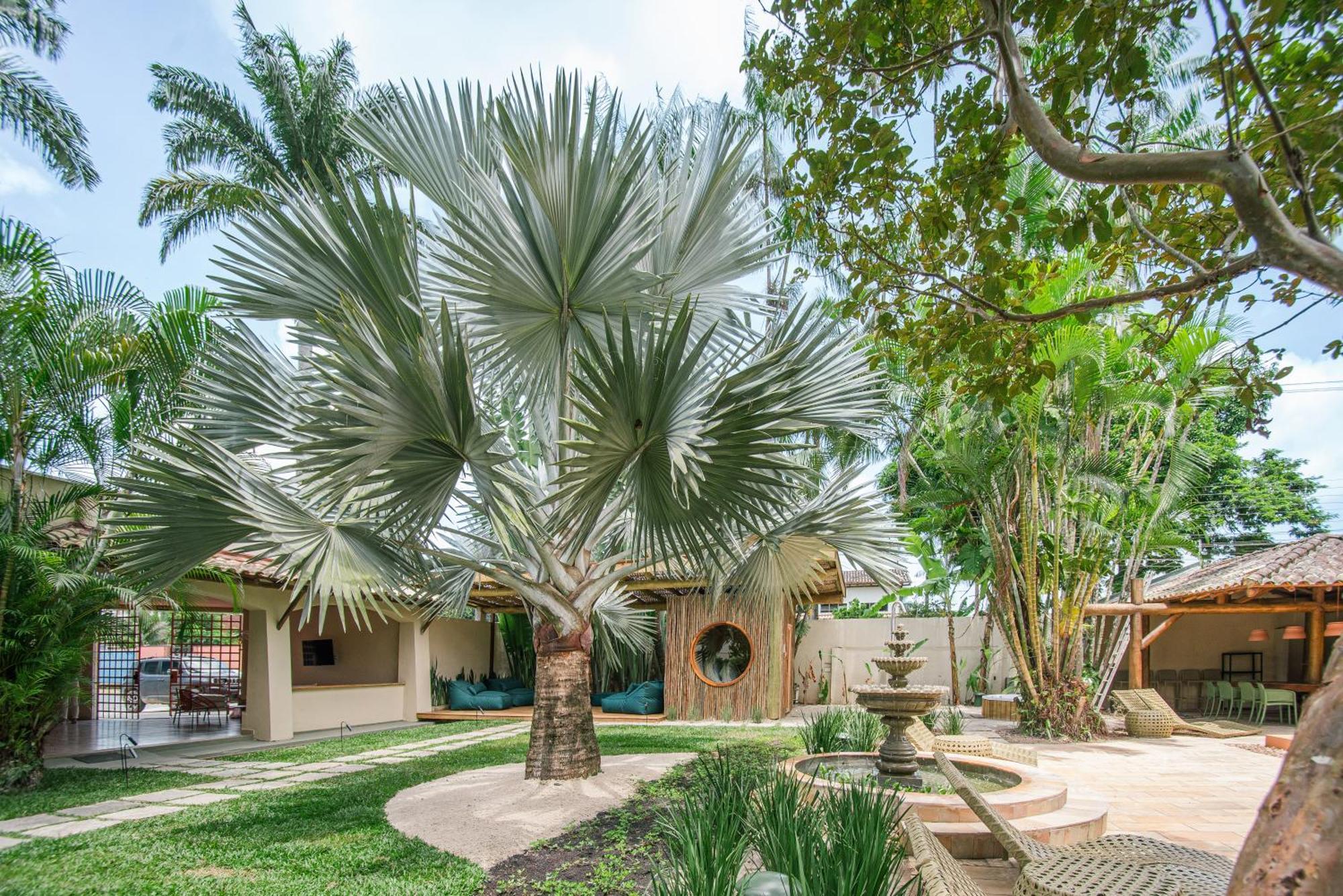 Pousada Pazuu Ubatuba Exterior photo